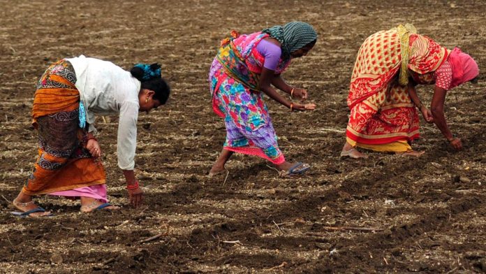 पेरणी करताना शेतकरी. : प्रातिनिधिक छायाचित्र.