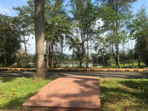 अँबी व्हॅलीमधील हिरवळ, नीटनेटके रस्ते आणि कृत्रिम तलाव अजूनही त्याला एका उच्च दर्जाच्या हिरव्यागार जागेचे स्वरूप देतात | फोटो: अमृतांश अरोरा | द प्रिंट