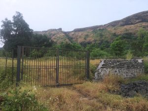 अविकसित भूखंडावर उगवलेले तण | छायाचित्र: अमृतांश अरोरा | द प्रिंट