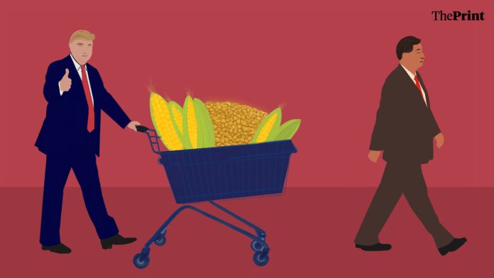 चित्रण : श्रुती नैथानी.