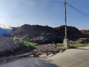 पेरुंगुडी लँडफिलमध्ये टाकण्यात आलेले कचऱ्याचे ढीग | अमृतांश अरोरा/दप्रिंट